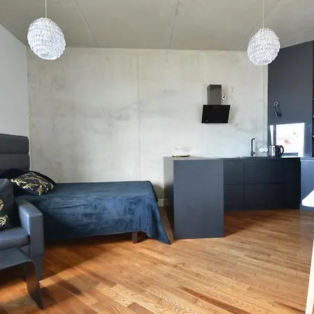 アパート Modern Near The Bus Station And The Airport タリン